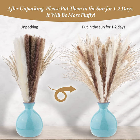 Ritattas Natural Dried Pampas Grass, 60 Pcs Pampas Grass with 20 Pcs White Pampas & 20 Pcs Brown Pampas & 20 Pcs Fluffy Reed Grass for Flower Arrangement Home Decor Wedding Boho Decor