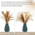Nuzyz Natural Dried Pampas Grass Plumes 70pcs 17.5 Inch Rabbit Tail Millet Mixing Bulrush Fluffy Living Room Vase Arrangement Boho Bouquet Home Decor