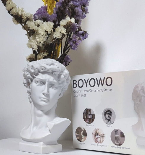 BOYOWO David Statue Greek Bust Face Vase Head Planter Roman Cute Room Decor Aesthetic Dark Academia Room Decor Bookshelf Sculpture Coquette Room Decor 6'' White Resin no Flower