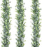 DearHouse 3 Pack Faux Eucalyptus Garland Plant, Artificial Vines Hanging Eucalyptus Leaves Greenery Garland for Wedding Backdrop Arch Wall Decor, 6 Feet/pcs UV Protected Indoor Outdoor