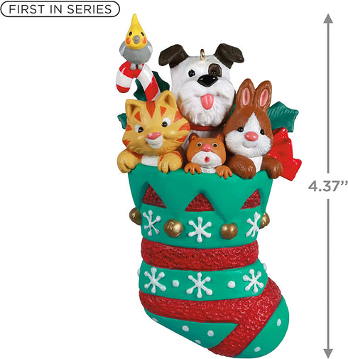 Hallmark Keepsake Christmas Ornament 2021, Stocking Stuffers Pets