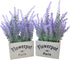 Butterfly Craze Artificial Lavender Plants in White Box Pots (Set of Two) Rustic Home Decor and Beautiful Lifelike Faux Silk Flower Arrangements for Kitchen, Office, Weddings & Beyond - White Boxes