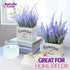 Butterfly Craze Artificial Lavender Plants in White Box Pots (Set of Two) Rustic Home Decor and Beautiful Lifelike Faux Silk Flower Arrangements for Kitchen, Office, Weddings & Beyond - White Boxes