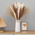 60 Pcs Pampas Grass | 15 Pcs White Pampas & 15 Pcs Brown Pampas & 30 Pcs Reed Grass/Natural Dried Pampas Grass for Flower Arrangements Boho Decor Home Decor