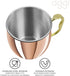 Oggi Moscow Mule Copper Plated Mug with EZ-Grip Handle, 20-Ounce