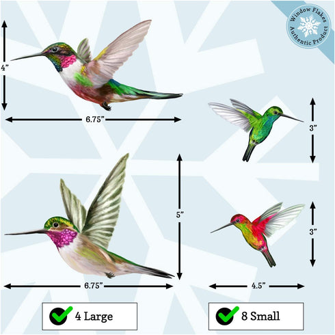 12 Hummingbird Window Clings - Beautiful Anti-Collision Window Stickers - Non Adhesive and Reusable Vinyl Window Decals for Birds Strikes