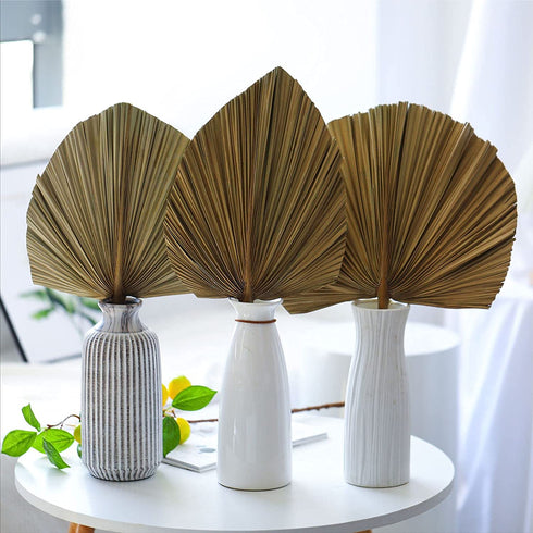 Natural Large Dried Palm Leaves-3 Pcs 17.7 Inch Dried Palm Spears Plant for Boho Style Art Wall Hanging Ornament | Neutral Home House Decor | Wedding Decor | Party Decoration | Flower and Leaf Decor