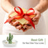 Ceramic Cactus Ring Holder Cactus Ring Dish for Jewelry Cactus Decor for Friend Sister Birthday Wedding Anniversary Bridal Engagement Christmas Gift for Women, Light Green