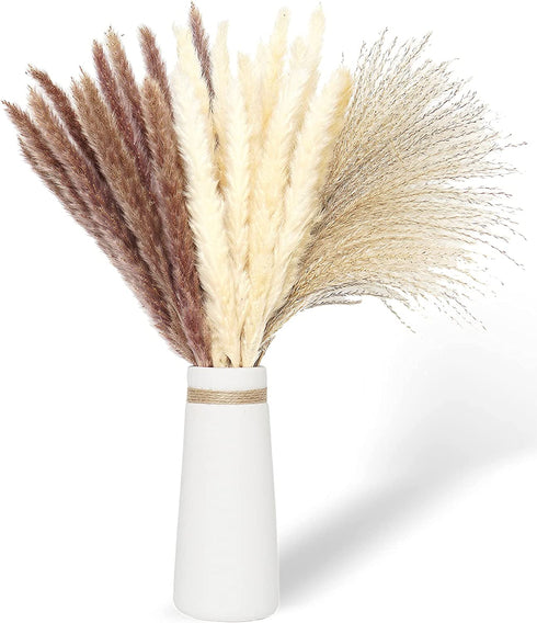 60 Pcs Pampas Grass | 15 Pcs White Pampas & 15 Pcs Brown Pampas & 30 Pcs Reed Grass/Natural Dried Pampas Grass for Flower Arrangements Boho Decor Home Decor