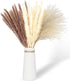 60 Pcs Pampas Grass | 15 Pcs White Pampas & 15 Pcs Brown Pampas & 30 Pcs Reed Grass/Natural Dried Pampas Grass for Flower Arrangements Boho Decor Home Decor