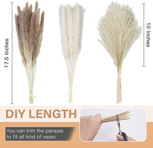 60 Pcs Pampas Grass | 15 Pcs White Pampas & 15 Pcs Brown Pampas & 30 Pcs Reed Grass/Natural Dried Pampas Grass for Flower Arrangements Boho Decor Home Decor