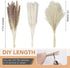 60 Pcs Pampas Grass | 15 Pcs White Pampas & 15 Pcs Brown Pampas & 30 Pcs Reed Grass/Natural Dried Pampas Grass for Flower Arrangements Boho Decor Home Decor