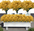 Artificial Flowers Outdoor, 20 Bundles Artificial Plants UV Resistant Fake Plants for Outdoors Outside Front Porch Window Box Hanging Planter Decoration(Yellow)