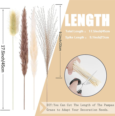 Pampas Grass 80 pcs 17.5 inch Natural Dried Pampas Grass - 15Pcs White Pampas & 15Pcs Brown Pampas & 30Pcs Reed Grass & 20Pcs Bunny Tail Grass,Fluffy stem Bouquet for Home Decor Wedding Boho Decor