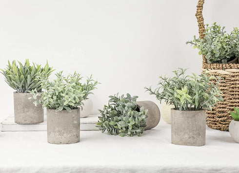 Der Rose 6pcs Small Fake Plants Artificial Potted Plants for Home Office Farmhouse Bathroom Bedroom Decor