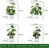 4pcs Small Fake Plants Potted Artificial Mini Greenery Evergreen Lotus Leaf Clover Luau Leaf for Desk Table Home Office Room Bedroom Decoration