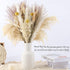61Pcs Natural Dried Pampas Grass, 17" Tall Fluffy Pompous Grass Dried Flowers Bouquet Decor with Reed Grass/Wheats/Lagurus Ovatus/ for Boho Farmhouse Rustic Vase