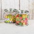 Hedume 9 Pack Mini Clear Plastic Paint Cans, 3-Inch Tall Crafts and Party Favor Cans, Paint Can Containers with Metal Lids Great for Party Decor and DIY