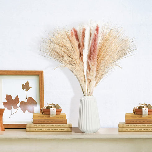 ANKRA 60 Pcs Natural Dried Pampas Grass, 15 Pcs White Pampas & 15 Pcs Brown Pampas & 30 Pcs Reed Grass, 20" Fluffy Pampas Grass Decor, Dried Pampas Grass for Flower Arrangements Home Decor, (ANKRA-01)