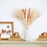 ANKRA 60 Pcs Natural Dried Pampas Grass, 15 Pcs White Pampas & 15 Pcs Brown Pampas & 30 Pcs Reed Grass, 20" Fluffy Pampas Grass Decor, Dried Pampas Grass for Flower Arrangements Home Decor, (ANKRA-01)