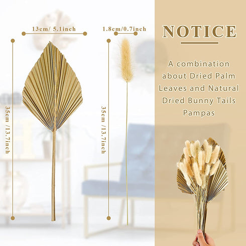 33 Pieces Dried Palm Spears Leaves Dried Pampas Grass Bunny Tail Natural Dried Palm Fans Grass Rabbit Tail Lagurus Ovatus Boho Dried Flower Bouquet for Room Kitchen Wedding Home Party Decor