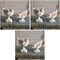 CTW Home Collection Set of Two Cast Iron Birds (1)