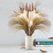 17.72" Dried White Pampas Grass 15 Pcs–•Brown Dried Flower 15 Pcs–•30 Pcs Natural Dried Reed, Natural Home Decor & Ideal for Flower Arrangements, Wedding Plants(60 Pcs)