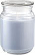 CANDLE-LITE Fresh Lavender Breeze Jar Candles, 18 oz