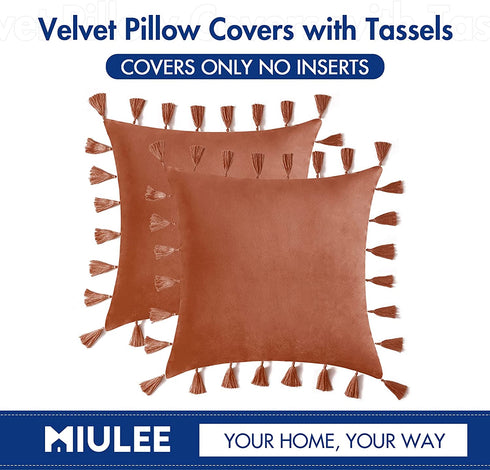 MIULEE Pack of 2 Velvet Soft Solid Decorative Throw Pillow Cover with Tassels Fringe Boho Accent Cushion Case for Couch Sofa Bed 20 x 20 Inch Orange