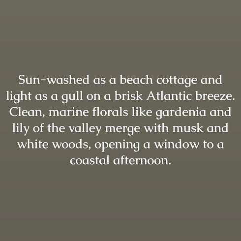 Caldrea Multi-surface Countertop Spray Cleaner, Made with Vegetable Protein Extract, Rosewater Driftwood Scent, 16 oz (Packaging May Vary)