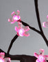 Lightshare 16Inch 36LED Cherry Blossom Bonsai Light, Pink Light, Battery Powered and Plug-in Adapter (Included), Built-in Timer, Décor for Home,Festival,Party,Christmas,Night Light