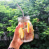 sungwoo Mason Jars, Canning Jars 16 ounces, 6 PACK, with Sealed and Straw Lid, Ideal for Juice, Jam, Honey and Spice, Wedding Favors, Shower Favors, Baby Foods