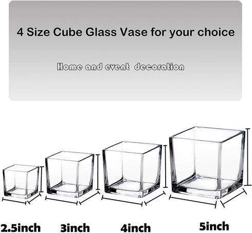 Square Glass Vase Clear Flower Decorative Centerpiece for Home or Wedding, Candle Holder, 5" x 5", Set of 2