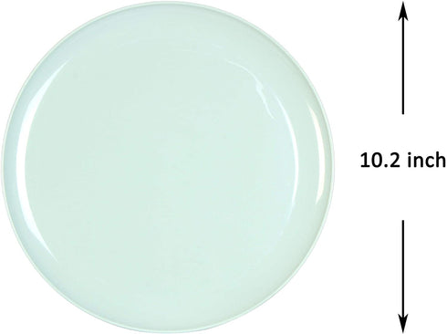 Youngever 10 Inch Plastic Plates, Large Plates, Dinner Plates, Set of 9 (9 Urban Colors)