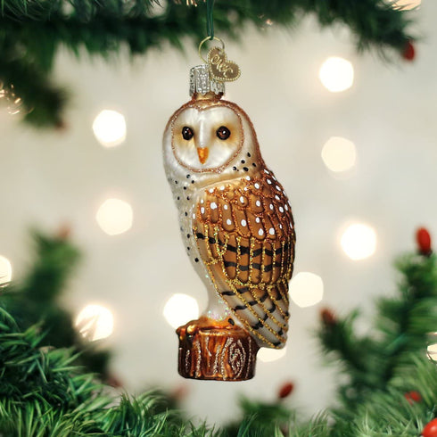 Old World Christmas Ornaments: Owls Glass Blown Ornaments for Christmas Tree, 3 x 3
