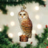 Old World Christmas Ornaments: Owls Glass Blown Ornaments for Christmas Tree, 3 x 3