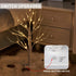 PEIDUO 24 2FT 24LT Lighted Birch Tree Battery Powered Timer Warm White LED Artificial Branch Tree for Home Party Festival Wedding Decor, 2FT Table Tree Lamp