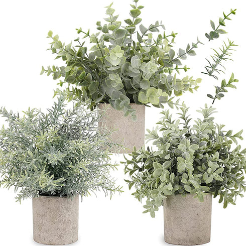 C APPOK Artificial Potted Plants Fake Eucalyptus Plant, Mini Plastic Green Grass with Pot, Faux Rosemary Plants for Home Decor, Indoor, Table Decoration - 3 Pack, Flocking Green