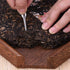 YARNOW 3pcs Puer Puerh Tea Knife Needle Stainless Steel Ice Pick for Breaking Prying Cake Brick Restaurant Bar Home Use Silver