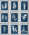 9 Pieces Botanical Wall Art Prints Navy Blue White Tropical Plant Flower Pictures Posters Boho Wall Decor for Bedroom Living Room Kitchen Home Decoration 8"x 10" UNFRAMED
