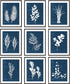 9 Pieces Botanical Wall Art Prints Navy Blue White Tropical Plant Flower Pictures Posters Boho Wall Decor for Bedroom Living Room Kitchen Home Decoration 8"x 10" UNFRAMED