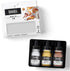 Liquitex Professional Acrylic Ink, Iridescent Set