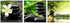 TutuBeer 3 Panel Zen Canvas Wall Art Still Life SPA Stone Green Bamboo White Frangipani Flower Pictures Prints on Canvas for Home Office Kitchen Wall Decor Stretched and Framed Each Panel 12x12inch