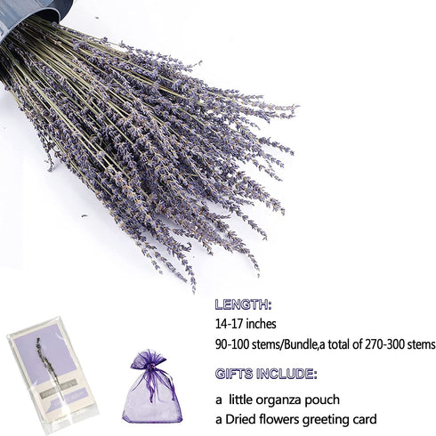 Natural Dried Lavender Flowers Bouquet,3 Bundles Dried Flowers Perfect for Home Decoration,Wedding,Photo Prop(270-300 Stems)-by TOMOON