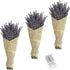 Natural Dried Lavender Flowers Bouquet,3 Bundles Dried Flowers Perfect for Home Decoration,Wedding,Photo Prop(270-300 Stems)-by TOMOON