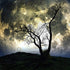 Galoker Moon Tapestry Galaxy Tapestry Tree Tapestry Starry Sky Tapestry Mystic Psychedelic Art Tapestry Wall Hanging for Home Decor(H59.1—W78.7 inches)