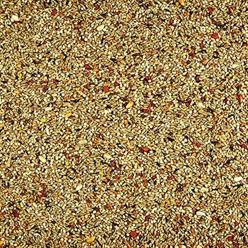 Kaytee Forti Diet Pro Health Orange Flavored Bird Treats For Parakeets, 10-Ounce