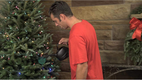 Luster Leaf Nanny Christmas Tree Watering Device, Deluxe