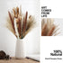 90 Pcs 17" Set | Natural Dried Pampas Grass, Natural Pampas Dried Flowers, Natural Rabbit Tail Grass, Perfect for Home Decor, Boho Decor and Wedding Flower Arrangements