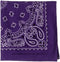 CAROLINA Have, A, Hank Paisley Bandannas, 22-Inch by 22-Inch, Purple